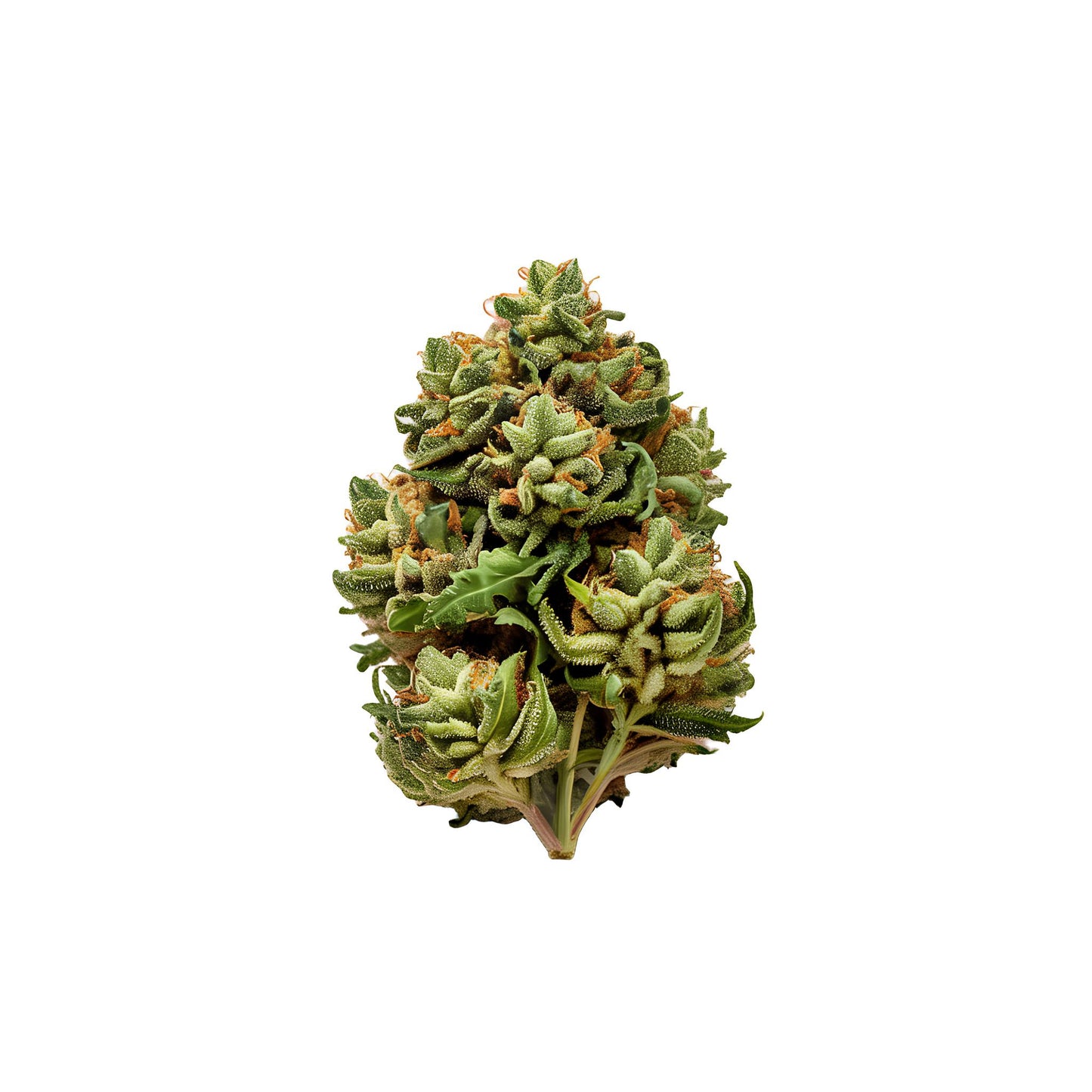 Colombian Gold Smalls 14g