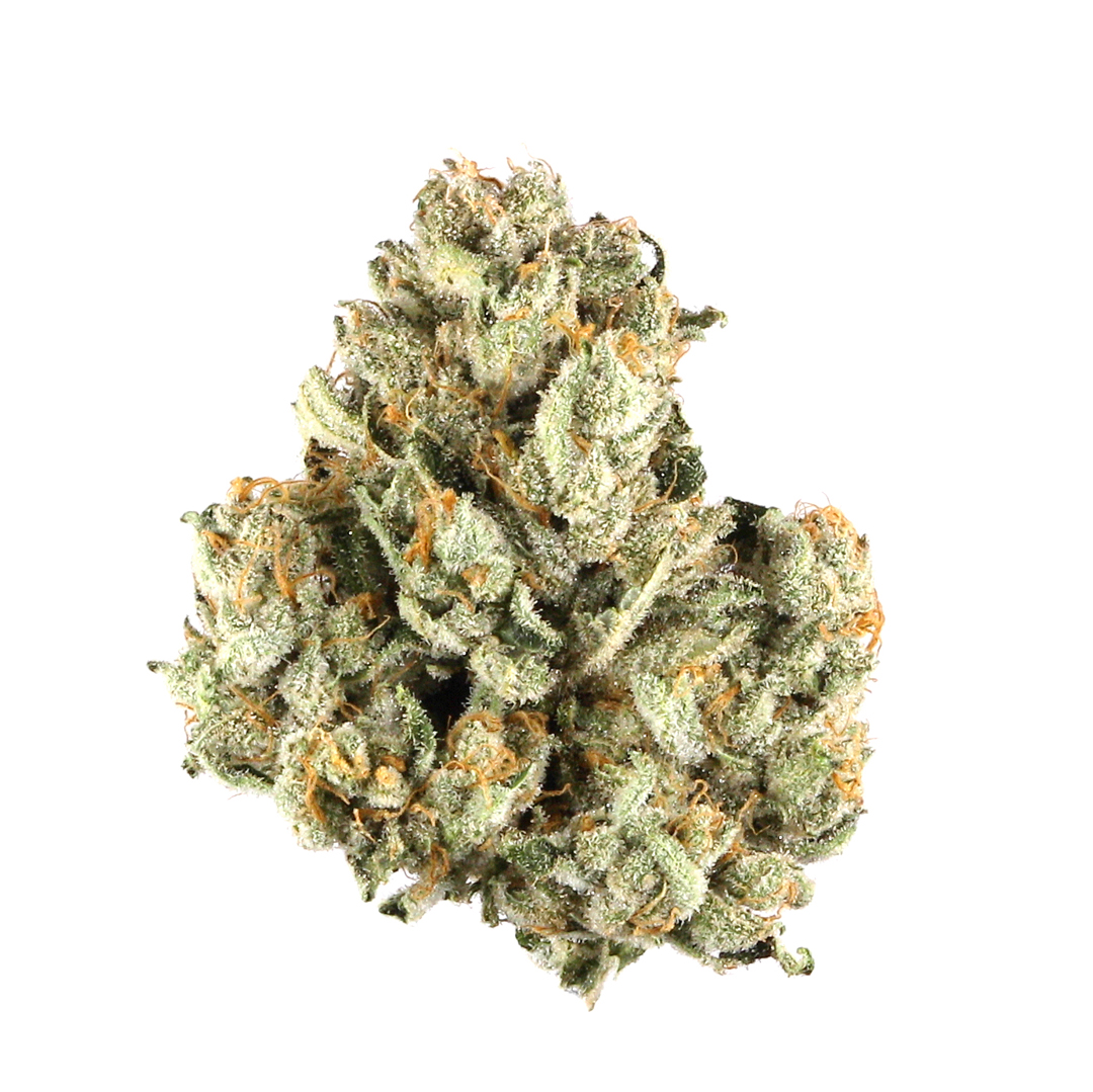 Colombian Gold Smalls - Sativa