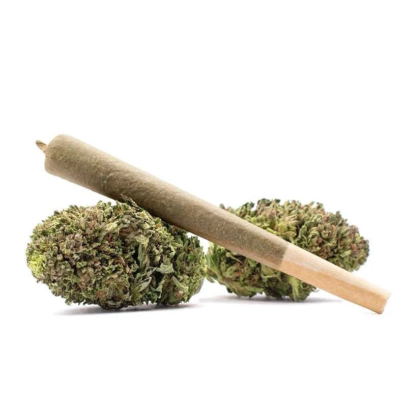 Fuelato THCa Pre Roll: Diamond Hash and Rosin Infused 1g (Hybrid)