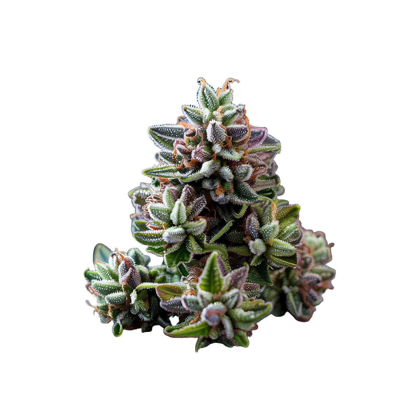 Grape Gas