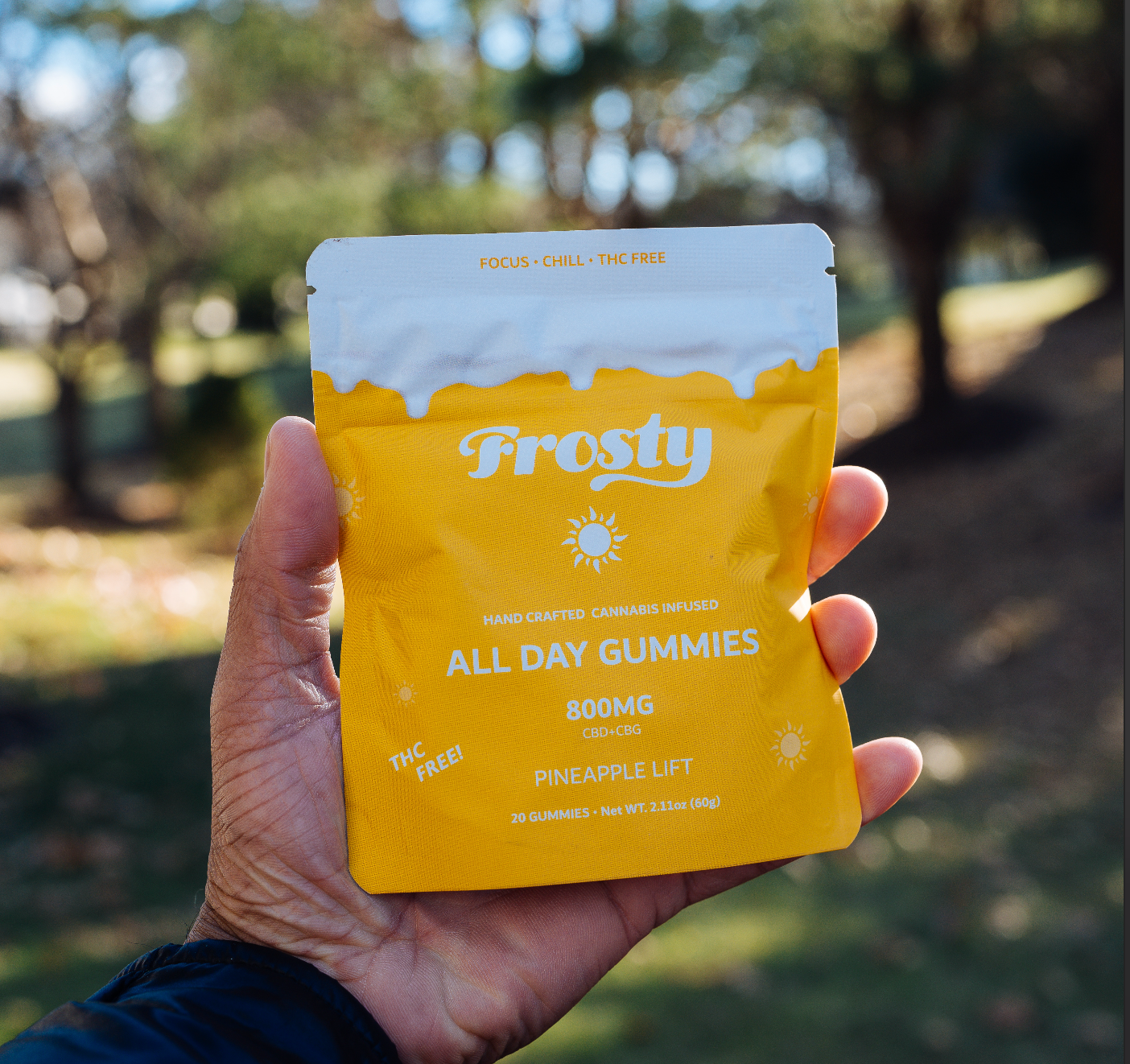 All Day Day CBD+CBG Gummies - Pineapple Lift – FHC