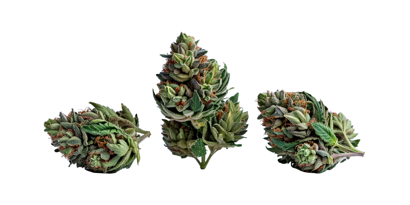 Pistachio Runtz
