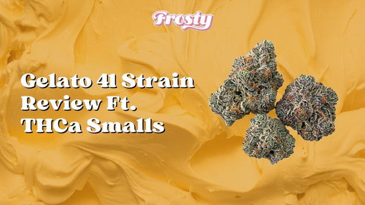 Gelato 41 Strain Review Ft. THCa Smalls