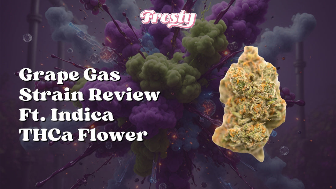 Grape Gas Strain Review Ft. Premium Indica THCa Flower