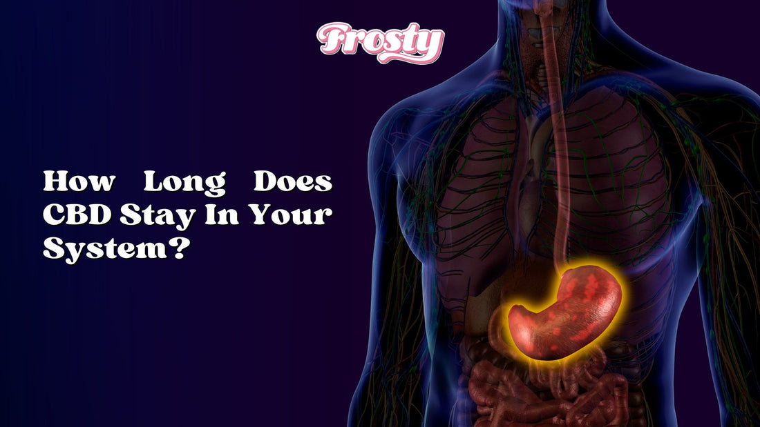How Long Does CBD Stay In Your System?