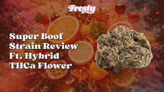 Super Boof Strain Review Feat. Top-Shelf Hybrid THCa Flower