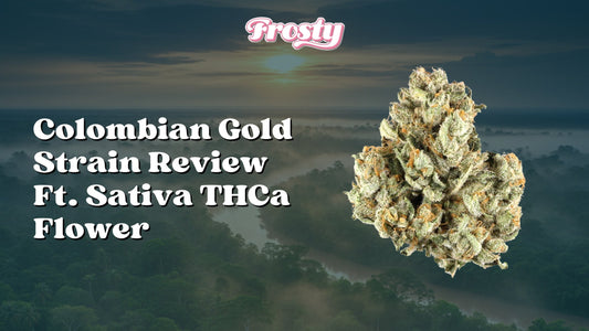Colombian Gold Strain Review Ft. Sativa THCa Flower