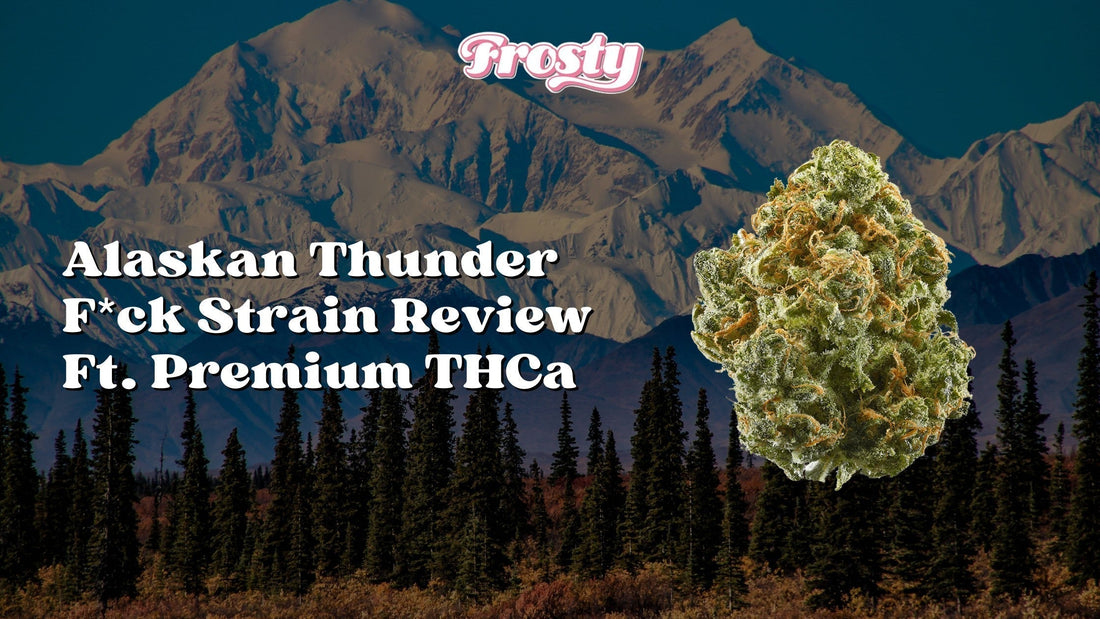 Alaskan Thunder Fuck Strain Review Ft. Premium THCa Flower