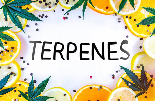 Beginner-Friendly Terpenes: Best Starting Profiles