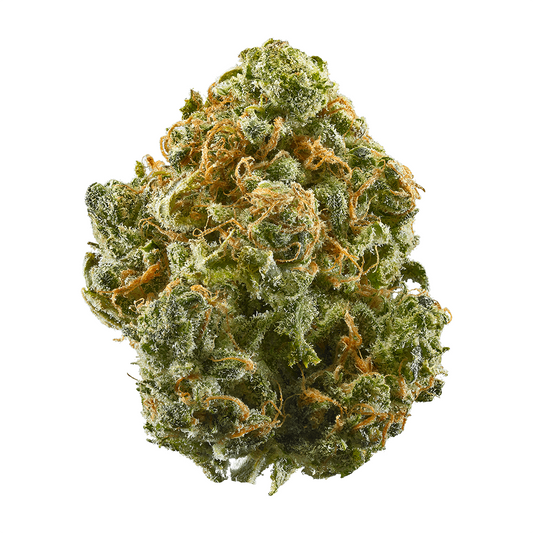Alasken TF - Indica