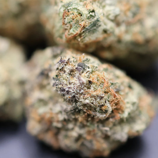 Close-up of alaskan thunderfuck cannabis buds with a dark background