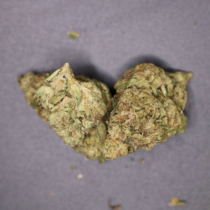 Close-up of two banana punch cannabis buds on a gray background