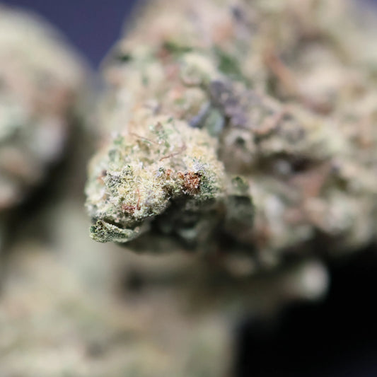 banana punch thca strain close up 