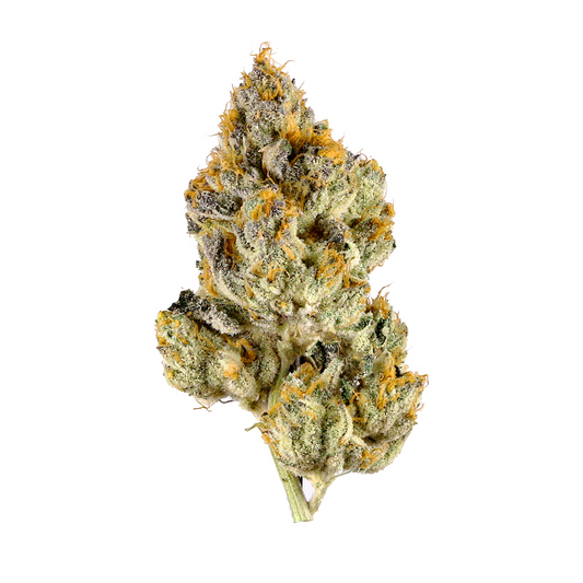 Cherry Trop - Hybrid