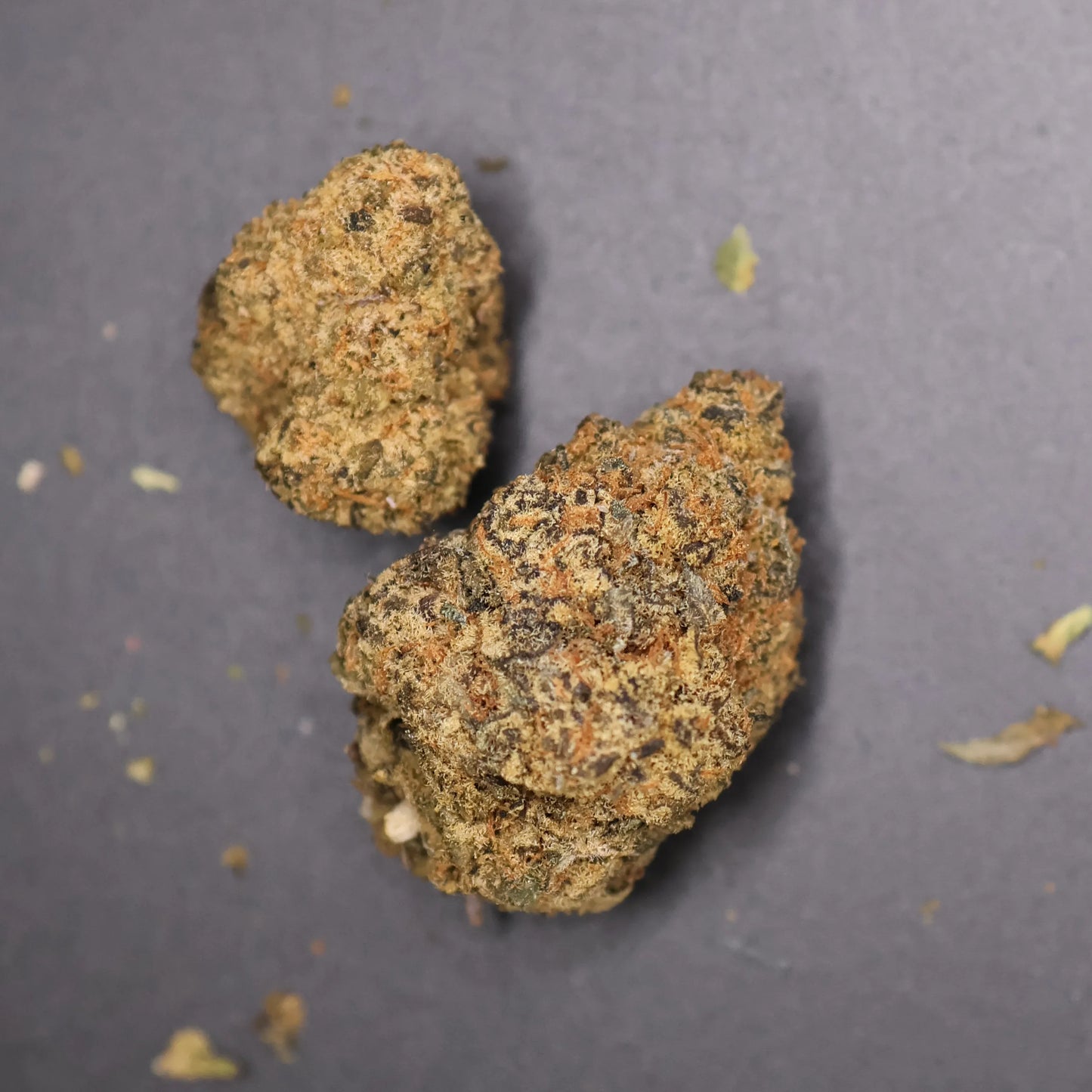 Close-up of dried cherry trop thca buds on a gray background