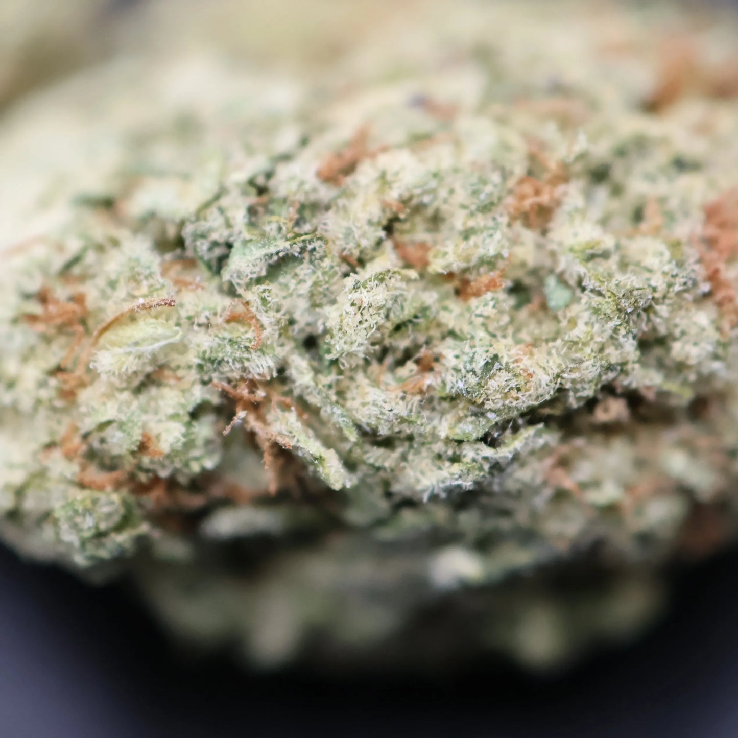 columbian gold thca flower close up of crystals