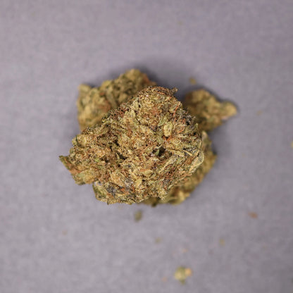 Close-up of a grape gas cannabis bud on a gray background