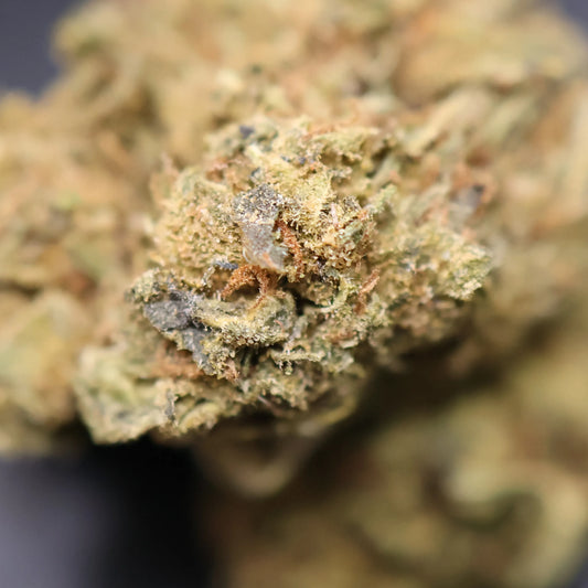 Close-up of a grape gas cannabis bud with trichomes