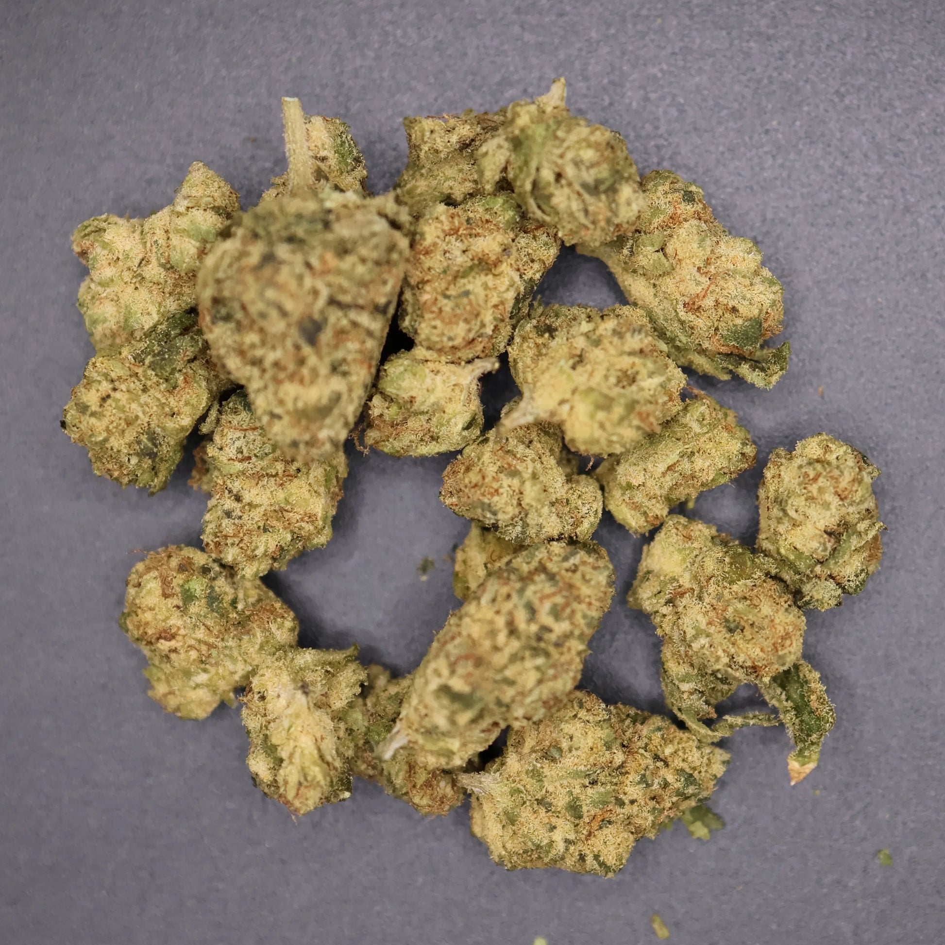 pile of frosty texture high thca buds of the pineapple express variety 