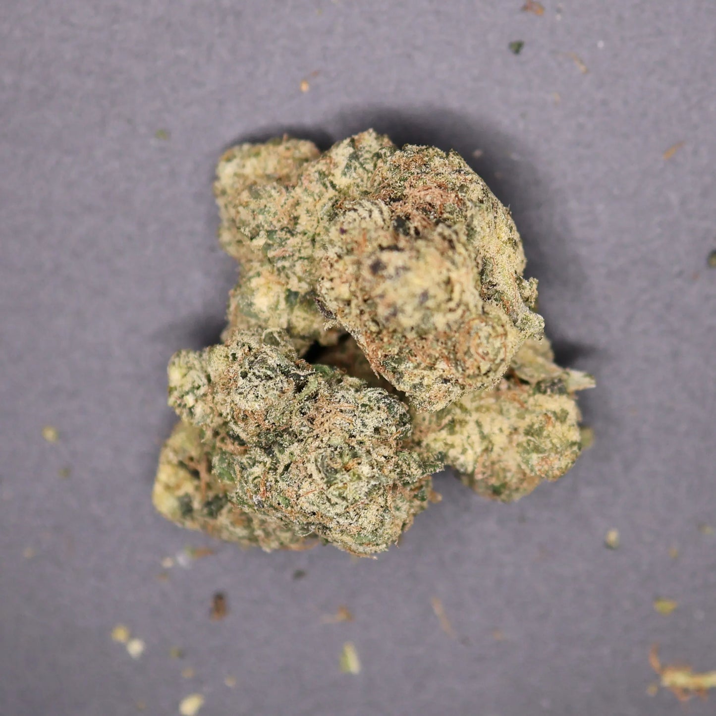 Close-up of a clump of green and brown strawberry cough cannabis on a gray background