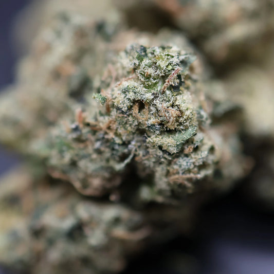 Close-up of a strawberry cough cannabis bud with trichomes