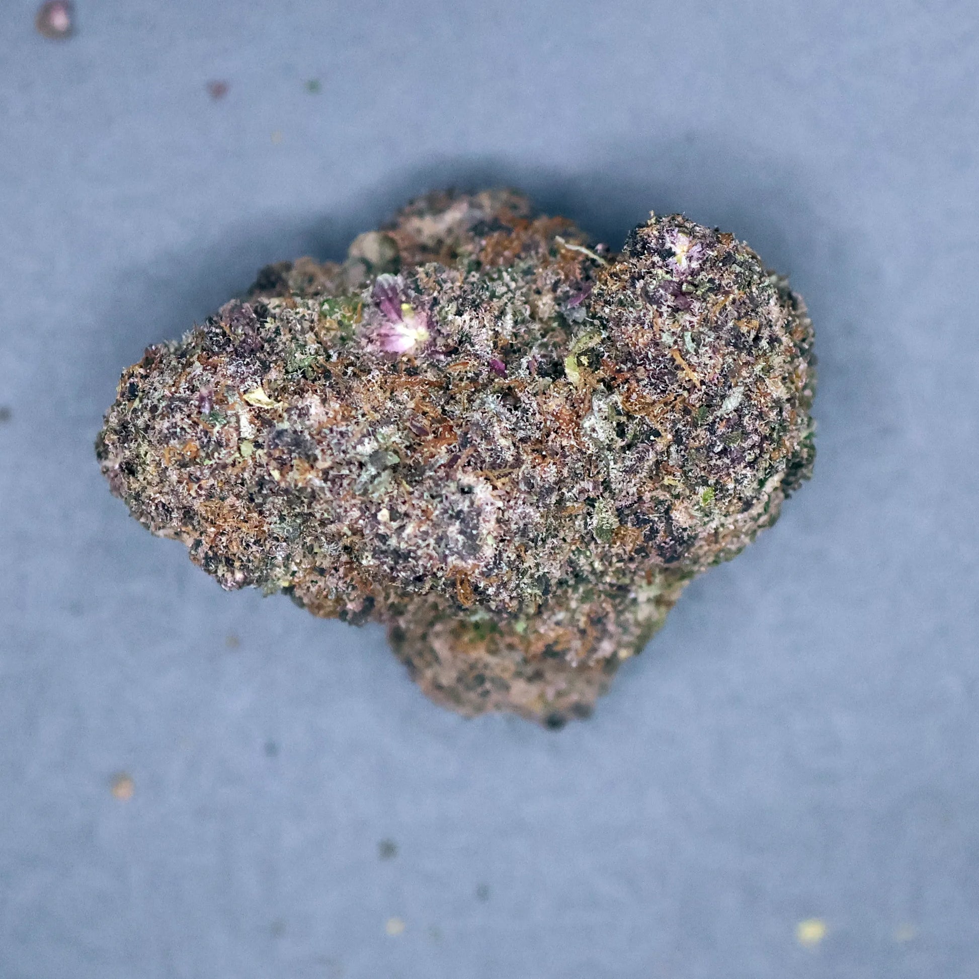 close up of super boof strain thca flower 