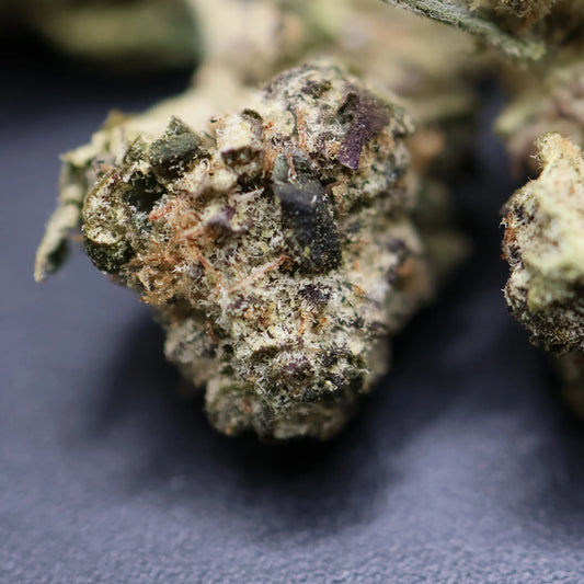 Close-up of a biscotti smalls bud on a textured surface