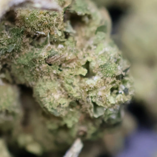 close up of blue dream smalls buds with frosty complexion showing trichomes 