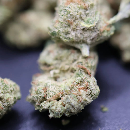 high thca flower columbian gold smalls with visible blanket of crystals and prominent hairs 