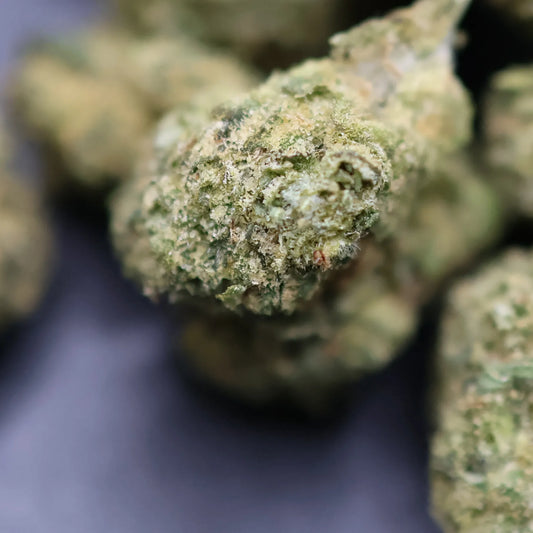 Close-up of gelato 41 thca buds on a dark background