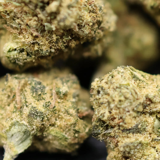 Close-up of jokerz candy smalls buds with a blurred background