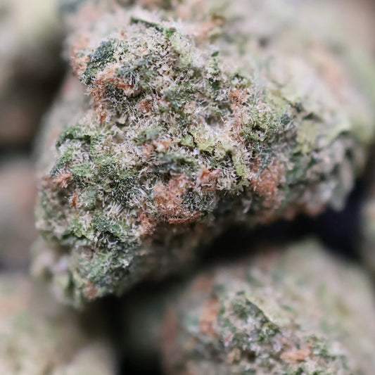 Close-up of a lemon pound cake thca bud with frosty texture