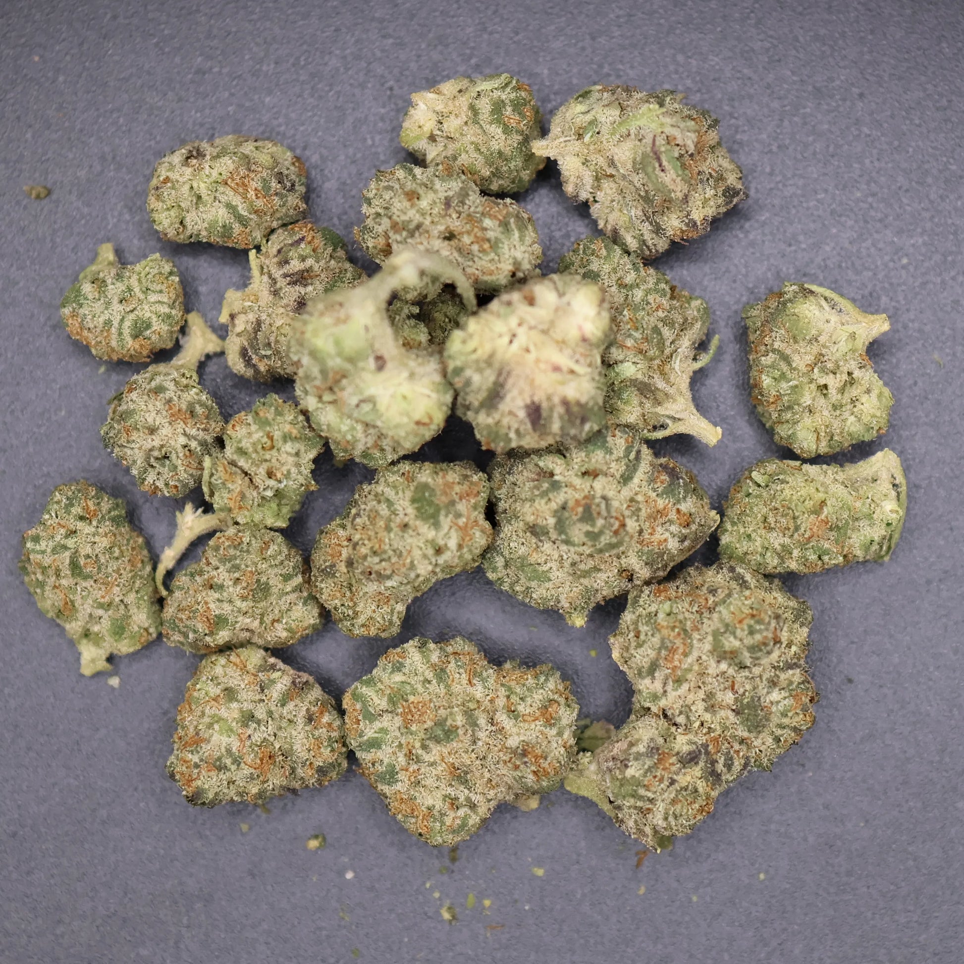 pile of northern lights smalls buds on a flat dark surface showing detail of high thca content 