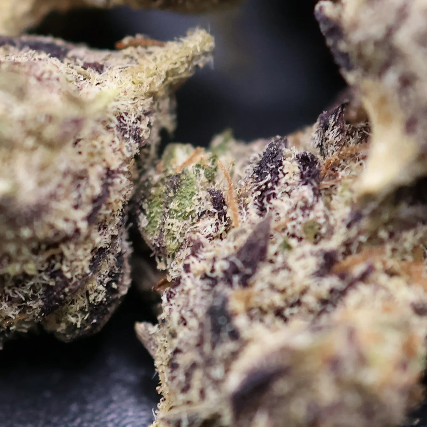 close up of high thca showing crystals on permanent marker smalls buds with dark background