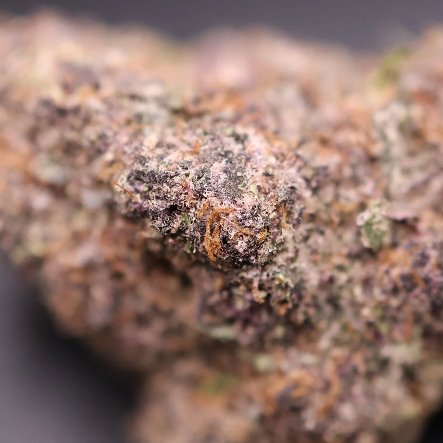 Close-up of a super boof cannabis bud with a blurred background