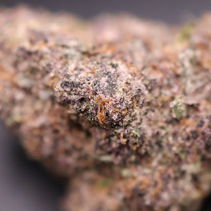 Close-up of a super boof cannabis bud with a blurred background